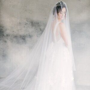 Wedding Veil (Cathedral Length)